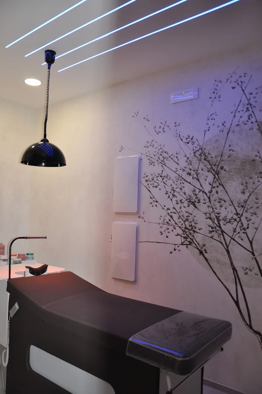 Il Salone